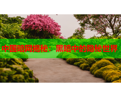 中国暗网揭秘：黑暗中的隐秘世界