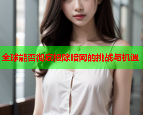 全球能否彻底根除暗网的挑战与机遇