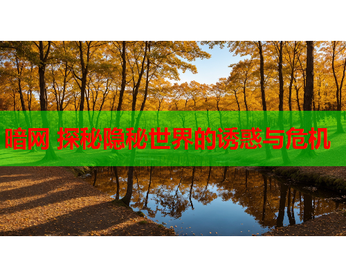 暗网 探秘隐秘世界的诱惑与危机