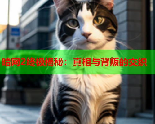 暗网2终极揭秘：真相与背叛的交织
