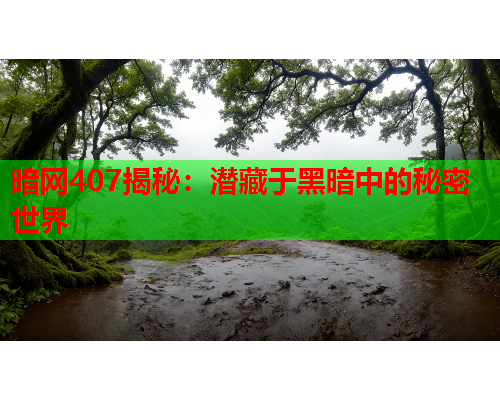 暗网407揭秘：潜藏于黑暗中的秘密世界