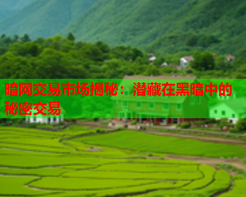 暗网交易市场揭秘：潜藏在黑暗中的秘密交易