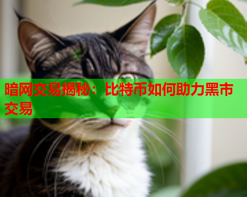 暗网交易揭秘：比特币如何助力黑市交易