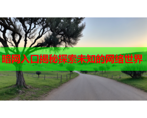 暗网入口揭秘探索未知的网络世界