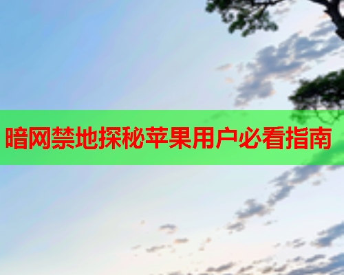 暗网禁地探秘苹果用户必看指南