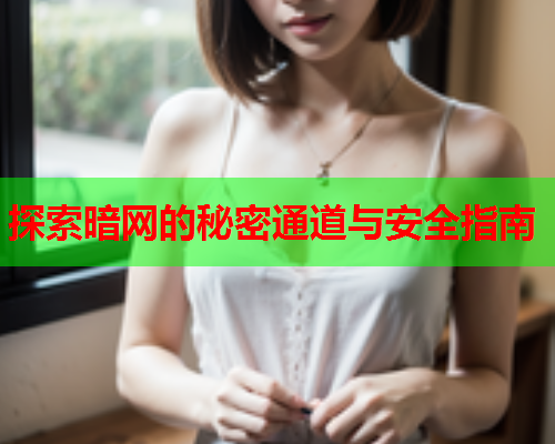 探索暗网的秘密通道与安全指南