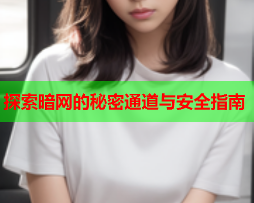 探索暗网的秘密通道与安全指南