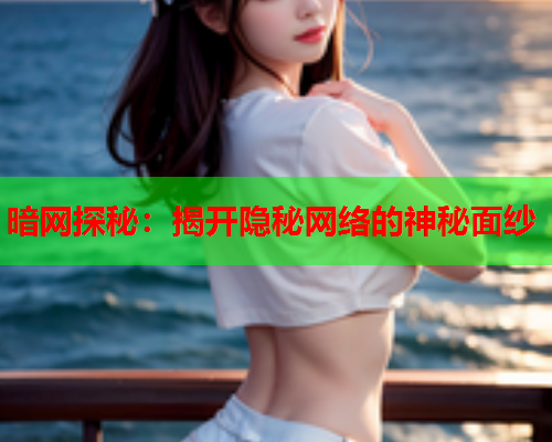 暗网探秘：揭开隐秘网络的神秘面纱