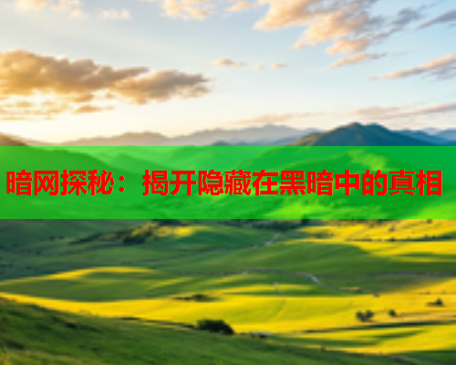 暗网探秘：揭开隐藏在黑暗中的真相