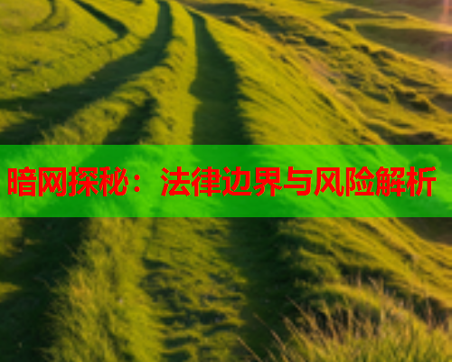 暗网探秘：法律边界与风险解析