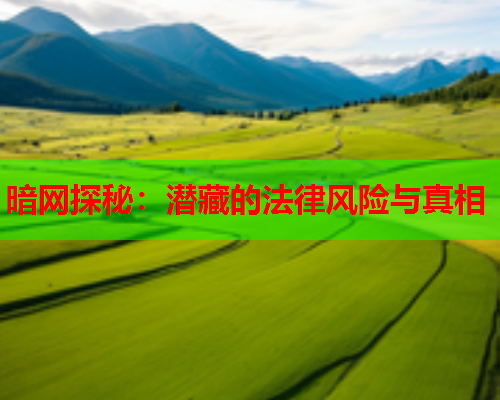 暗网探秘：潜藏的法律风险与真相
