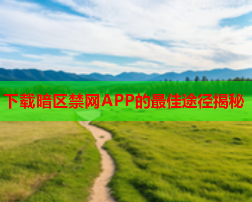 下载暗区禁网APP的最佳途径揭秘