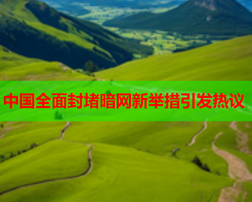 中国全面封堵暗网新举措引发热议