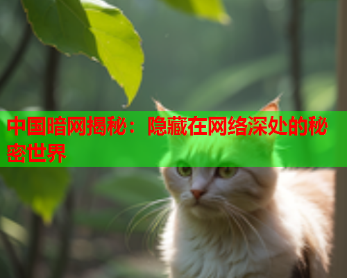 中国暗网揭秘：隐藏在网络深处的秘密世界