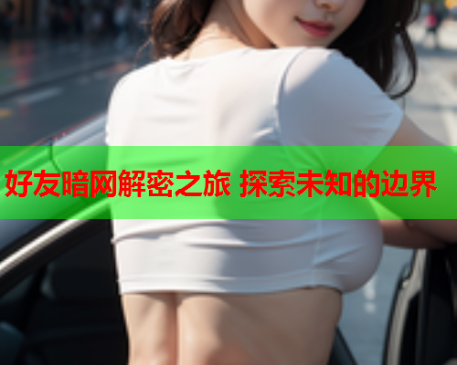 好友暗网解密之旅 探索未知的边界