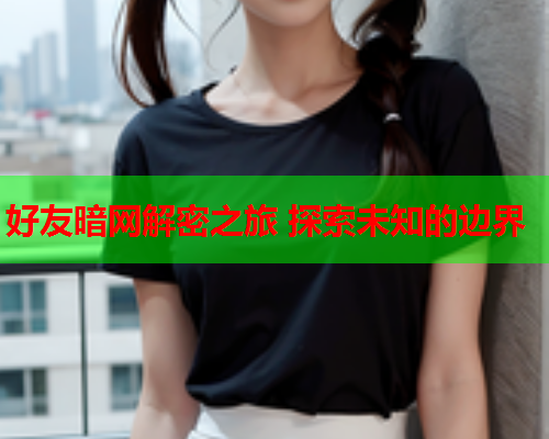 好友暗网解密之旅 探索未知的边界