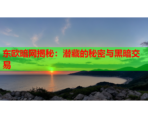 东欧暗网揭秘：潜藏的秘密与黑暗交易