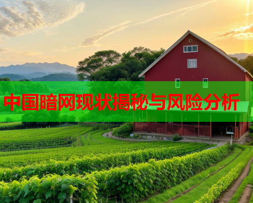 中国暗网现状揭秘与风险分析