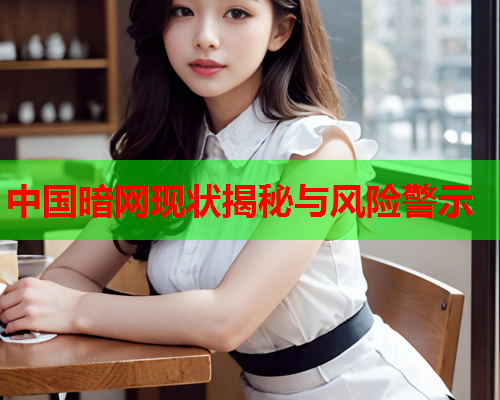 中国暗网现状揭秘与风险警示