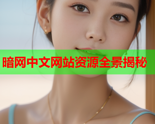 暗网中文网站资源全景揭秘