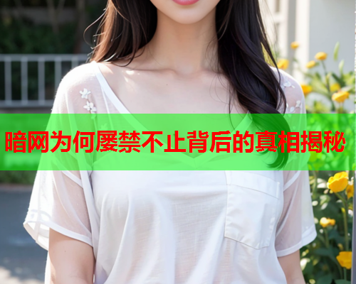 暗网为何屡禁不止背后的真相揭秘
