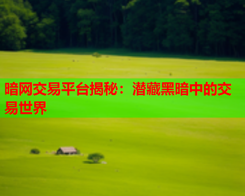 暗网交易平台揭秘：潜藏黑暗中的交易世界