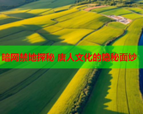 暗网禁地探秘 唐人文化的隐秘面纱