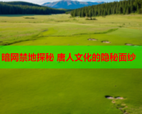 暗网禁地探秘 唐人文化的隐秘面纱