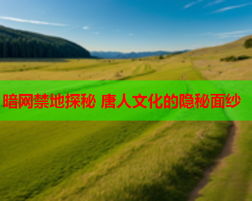 暗网禁地探秘 唐人文化的隐秘面纱