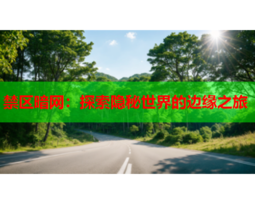 禁区暗网：探索隐秘世界的边缘之旅