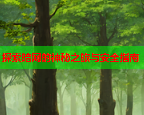 探索暗网的神秘之旅与安全指南