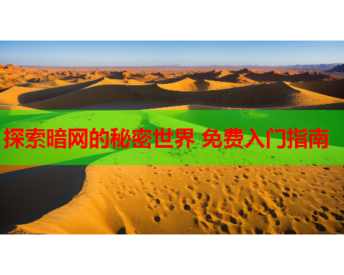 探索暗网的秘密世界 免费入门指南