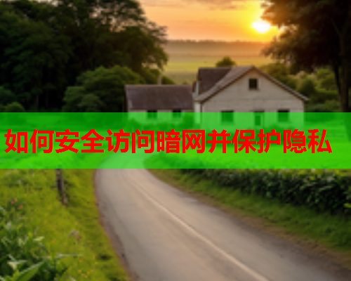如何安全访问暗网并保护隐私
