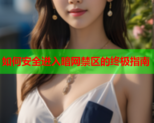 如何安全进入暗网禁区的终极指南