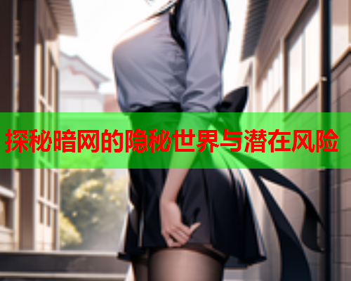 探秘暗网的隐秘世界与潜在风险