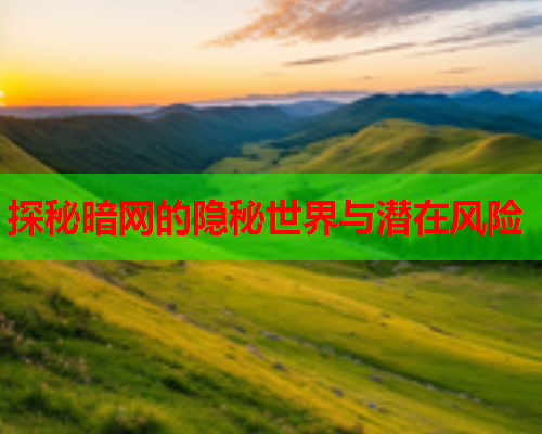 探秘暗网的隐秘世界与潜在风险