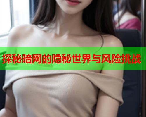 探秘暗网的隐秘世界与风险挑战