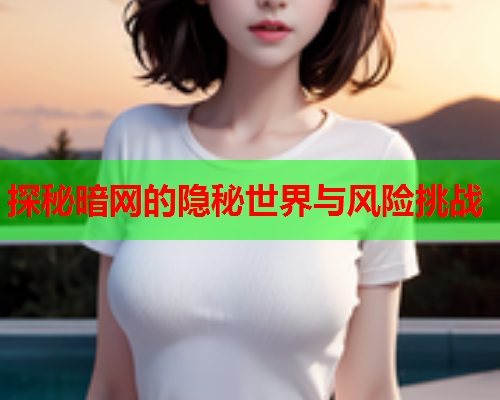 探秘暗网的隐秘世界与风险挑战