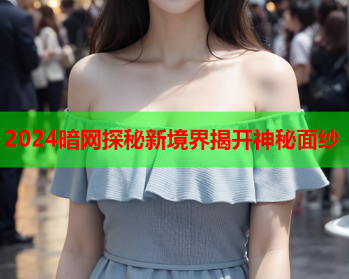 2024暗网探秘新境界揭开神秘面纱
