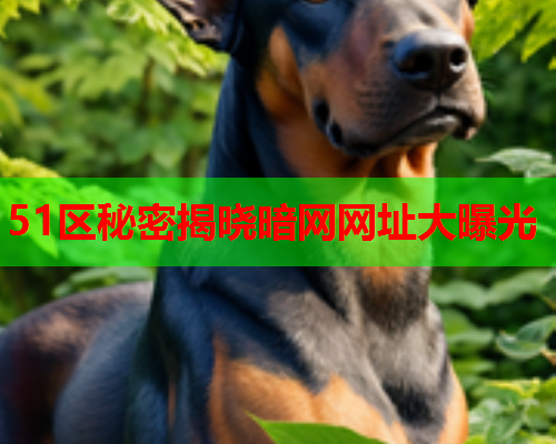 51区秘密揭晓暗网网址大曝光