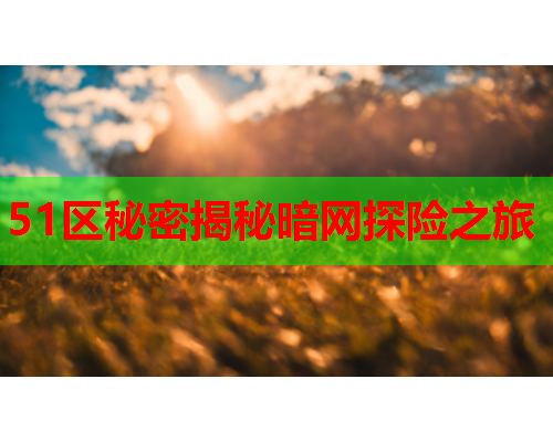 51区秘密揭秘暗网探险之旅