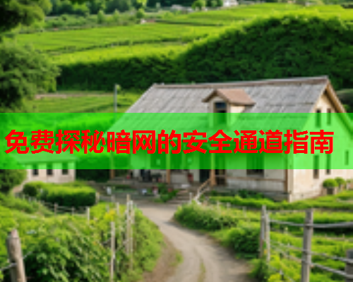 免费探秘暗网的安全通道指南