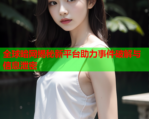 全球暗网揭秘新平台助力事件破解与信息泄密
