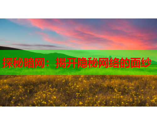 探秘暗网：揭开隐秘网络的面纱