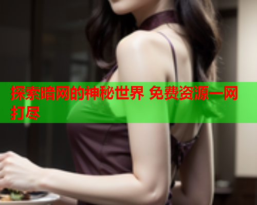 探索暗网的神秘世界 免费资源一网打尽