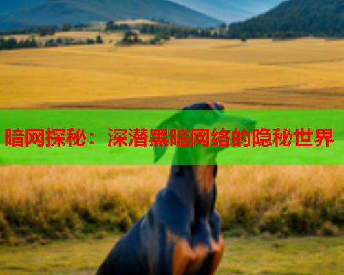 暗网探秘：深潜黑暗网络的隐秘世界