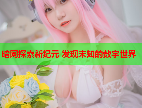 暗网探索新纪元 发现未知的数字世界