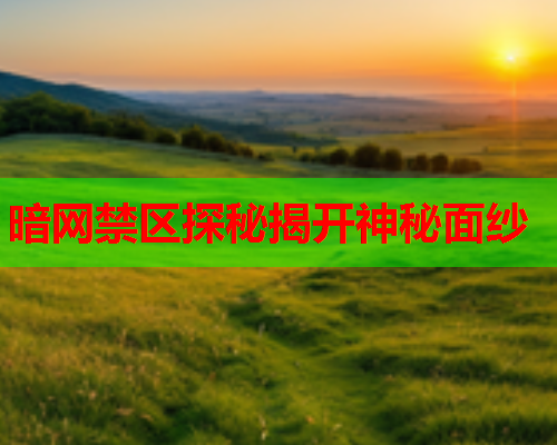 暗网禁区探秘揭开神秘面纱