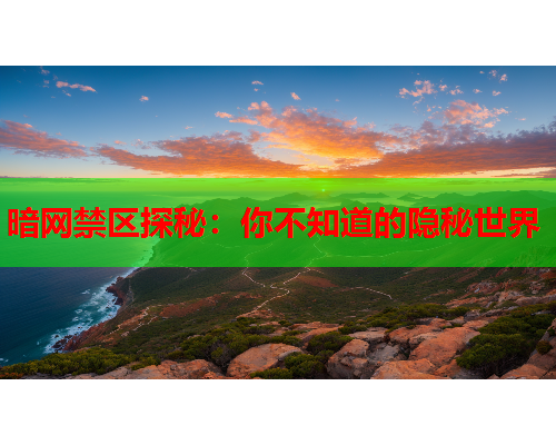 暗网禁区探秘：你不知道的隐秘世界