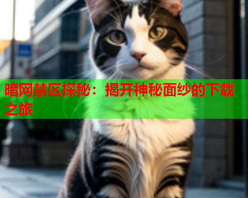 暗网禁区探秘：揭开神秘面纱的下载之旅